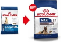 Royal Canin Maxi Ageing 8+ 15 KG -Dierenwinkel 1200x836