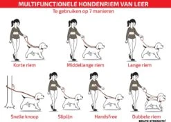 Multifunctionele Hondenriem - 220cm - Bruin - Leren Hondenriem - 100% Volnerfleer - Hondenriem Leer - Leiband Hond 15 Multifunctionele Hondenriem - 220cm - Bruin - Leren Hondenriem - 100% Volnerfleer - Hondenriem Leer - Leiband Hond -Dierenwinkel 1200x853