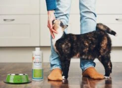 OxyFresh Pet Mondwater Hond En Kat. Helpt Tegen Tandsteen, Plak En Vieze Ademgeurtjes 9 OxyFresh Pet Mondwater Hond En Kat. Helpt Tegen Tandsteen, Plak En Vieze Ademgeurtjes -Dierenwinkel 1200x864