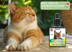 Natuurlijke Vlooiendruppels Voor Katten - Vanaf 4 Kg - 100% Natuurlijk - Vlooien - Zonder Giftige Pesticiden - 30 Ml - Speciale Formule Voor Katten - Vachtdruppels - Made In Holland 12 Natuurlijke Vlooiendruppels Voor Katten - Vanaf 4 Kg - 100% Natuurlijk - Vlooien - Zonder Giftige Pesticiden - 30 Ml - Speciale Formule Voor Katten - Vachtdruppels - Made In Holland -Dierenwinkel 1200x872 5