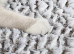 Merkloos Zelfverwarmende Dierendeken Zonder Stroom Thermo Deken Hond Kat Inclusief Adreslabel 70 X 47 Cm 16 Merkloos Zelfverwarmende Dierendeken Zonder Stroom Thermo Deken Hond Kat Inclusief Adreslabel 70 X 47 Cm -Dierenwinkel 1200x878 1