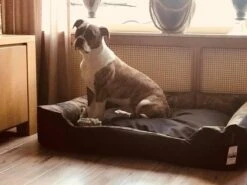 Hondenmand Cordura XXXL – Donkergrijs - 125 X 90 X 24 Cm -Dierenwinkel 1200x900 16