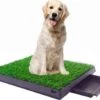 Merkloos Maoo Premium Hondentoilet - Geurbestendig & Hondvriendelijk Kunstgras - Uitneembare Opvangbak - Indoor En Outdoor - 63 X 50 Cm 2 Merkloos Maoo Premium Hondentoilet - Geurbestendig & Hondvriendelijk Kunstgras - Uitneembare Opvangbak - Indoor En Outdoor - 63 X 50 Cm -Dierenwinkel 1200x963
