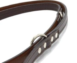 Verstelbare Trainingslijn Leer - 2 Meter - Bruin - Politielijn - Hondenriem - Hoge Kwaliteit Leer - Trainingslijn - Ambachtelijk Gemaakt In Portugal 10 Verstelbare Trainingslijn Leer - 2 Meter - Bruin - Politielijn - Hondenriem - Hoge Kwaliteit Leer - Trainingslijn - Ambachtelijk Gemaakt In Portugal -Dierenwinkel 1200x975