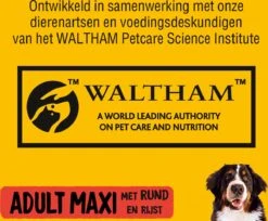 Pedigree Maxi Adult Honden Droogvoer - Rund - 15 Kg 10 Pedigree Maxi Adult Honden Droogvoer - Rund - 15 Kg -Dierenwinkel 1200x992 1