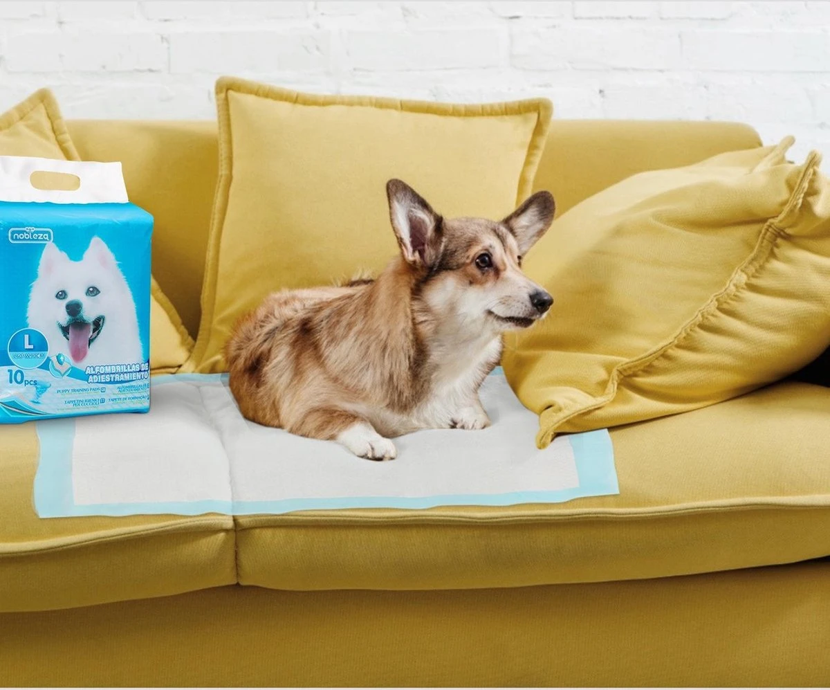 Nobleza 48LXB - Puppy Training Pads - 60 X 90 Cm - Zindelijkheidstraining - 100 Stuks 8 Nobleza 48LXB - Puppy Training Pads - 60 X 90 Cm - Zindelijkheidstraining - 100 Stuks - Afbeelding 6