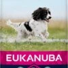 Eukanuba Dog Adult Medium Breed - Kip - Hondenvoer - 15 Kg 2 Eukanuba Dog Adult Medium Breed - Kip - Hondenvoer - 15 Kg -Dierenwinkel 548x1200
