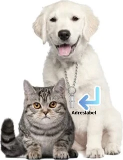 Merkloos Zelfverwarmende Dierendeken Zonder Stroom Thermo Deken Hond Kat Inclusief Adreslabel 70 X 47 Cm 12 Merkloos Zelfverwarmende Dierendeken Zonder Stroom Thermo Deken Hond Kat Inclusief Adreslabel 70 X 47 Cm -Dierenwinkel 920x1200