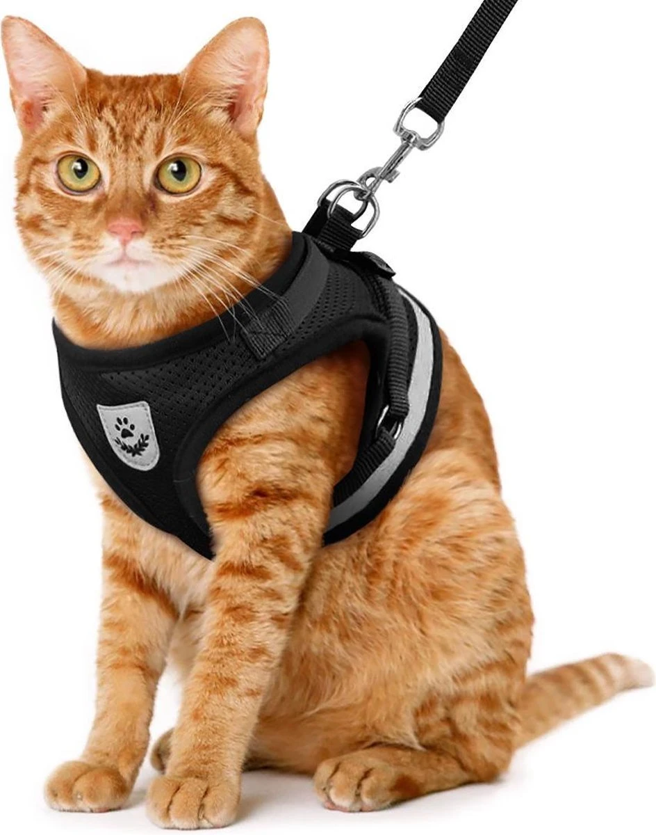 Merkloos Kattentuigje Met Looplijn | Zwart Kattenharnas | Easy Step In | Kattenriem | Kattenlijn | Kattentuig | Maat S 3 Merkloos Kattentuigje Met Looplijn | Zwart Kattenharnas | Easy Step In | Kattenriem | Kattenlijn | Kattentuig | Maat S
