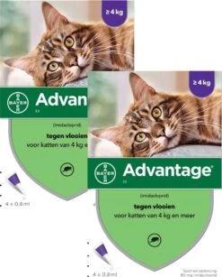 Bayer Advantage 80 Kat 4 Pip - Anti Vlooienmiddel - 2 X 0.8 Ml - > 4 Kg 7 Bayer Advantage 80 Kat 4 Pip - Anti Vlooienmiddel - 2 X 0.8 Ml - > 4 Kg -Dierenwinkel 965x1200