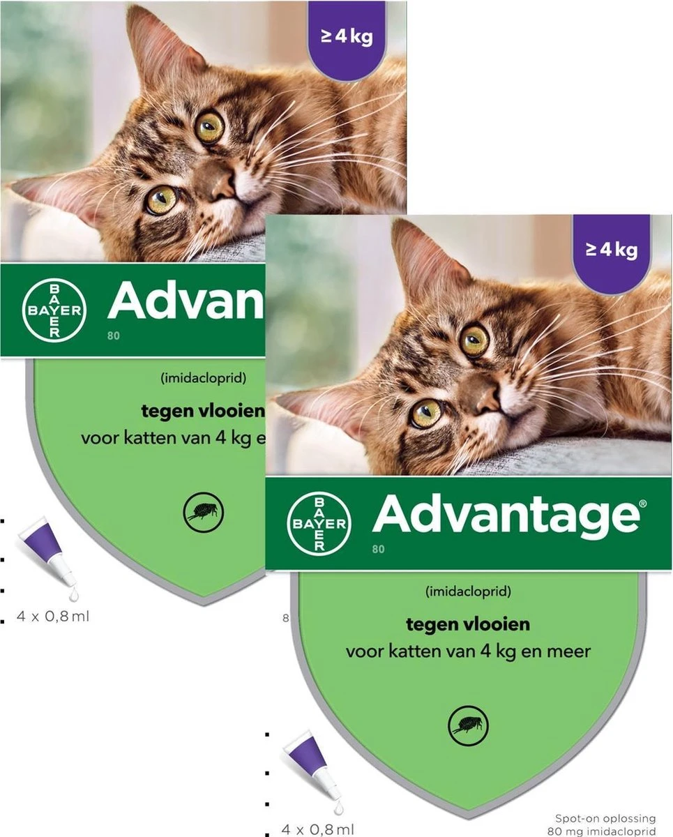 Bayer Advantage 80 Kat 4 Pip - Anti Vlooienmiddel - 2 X 0.8 Ml - > 4 Kg 5 Bayer Advantage 80 Kat 4 Pip - Anti Vlooienmiddel - 2 X 0.8 Ml - > 4 Kg - Afbeelding 3