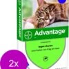 Bayer Advantage 80 Kat 4 Pip - Anti Vlooienmiddel - 2 X 0.8 Ml - > 4 Kg 2 Bayer Advantage 80 Kat 4 Pip - Anti Vlooienmiddel - 2 X 0.8 Ml - > 4 Kg -Dierenwinkel 968x1200